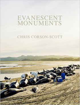 Evanescent Monuments by Chris Corson-Scott